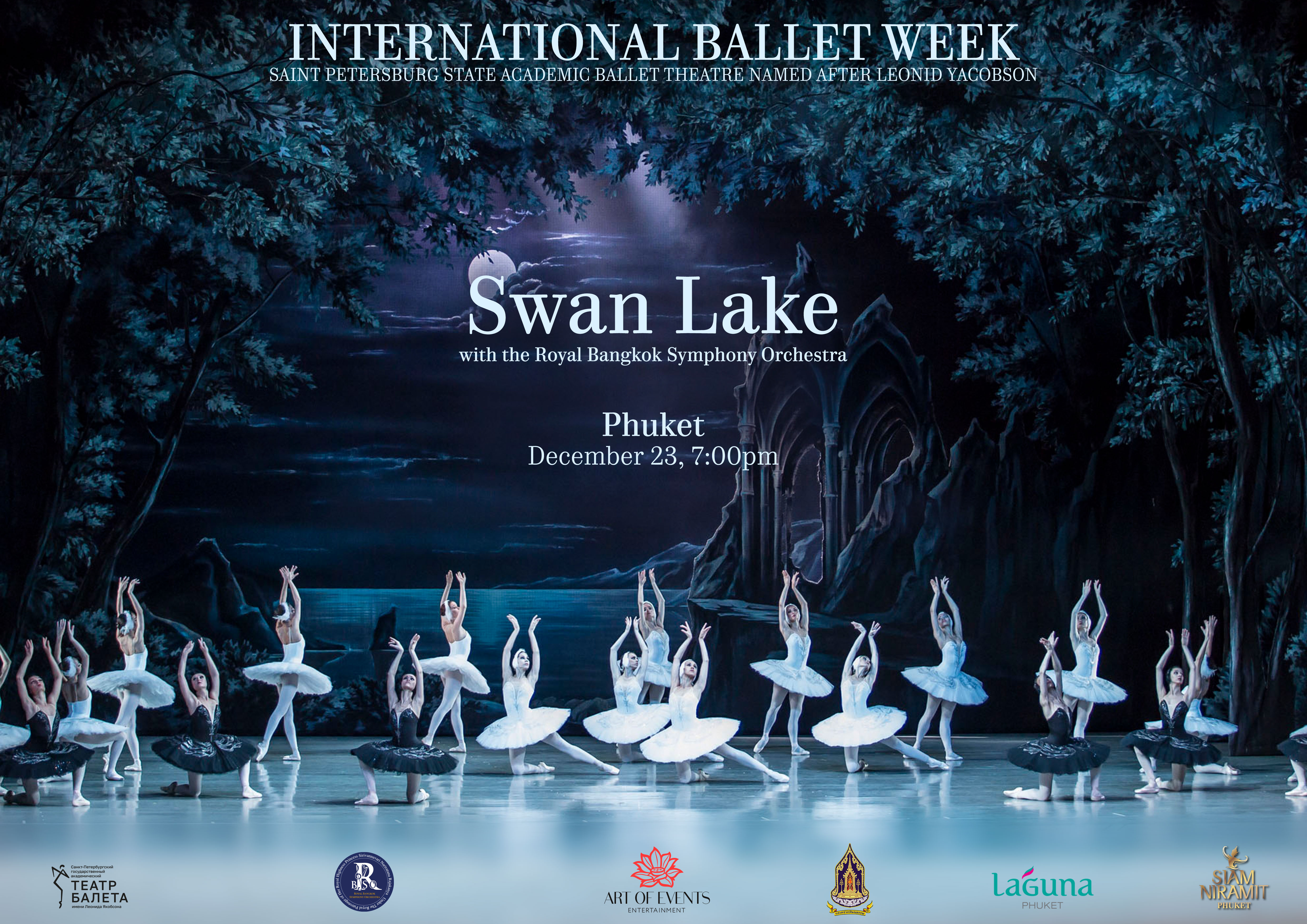SWAN LAKE image